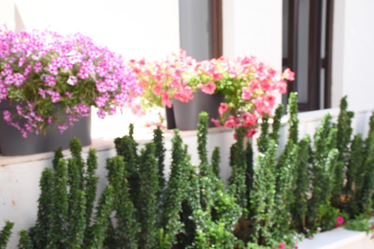 Petar Apartament Budva