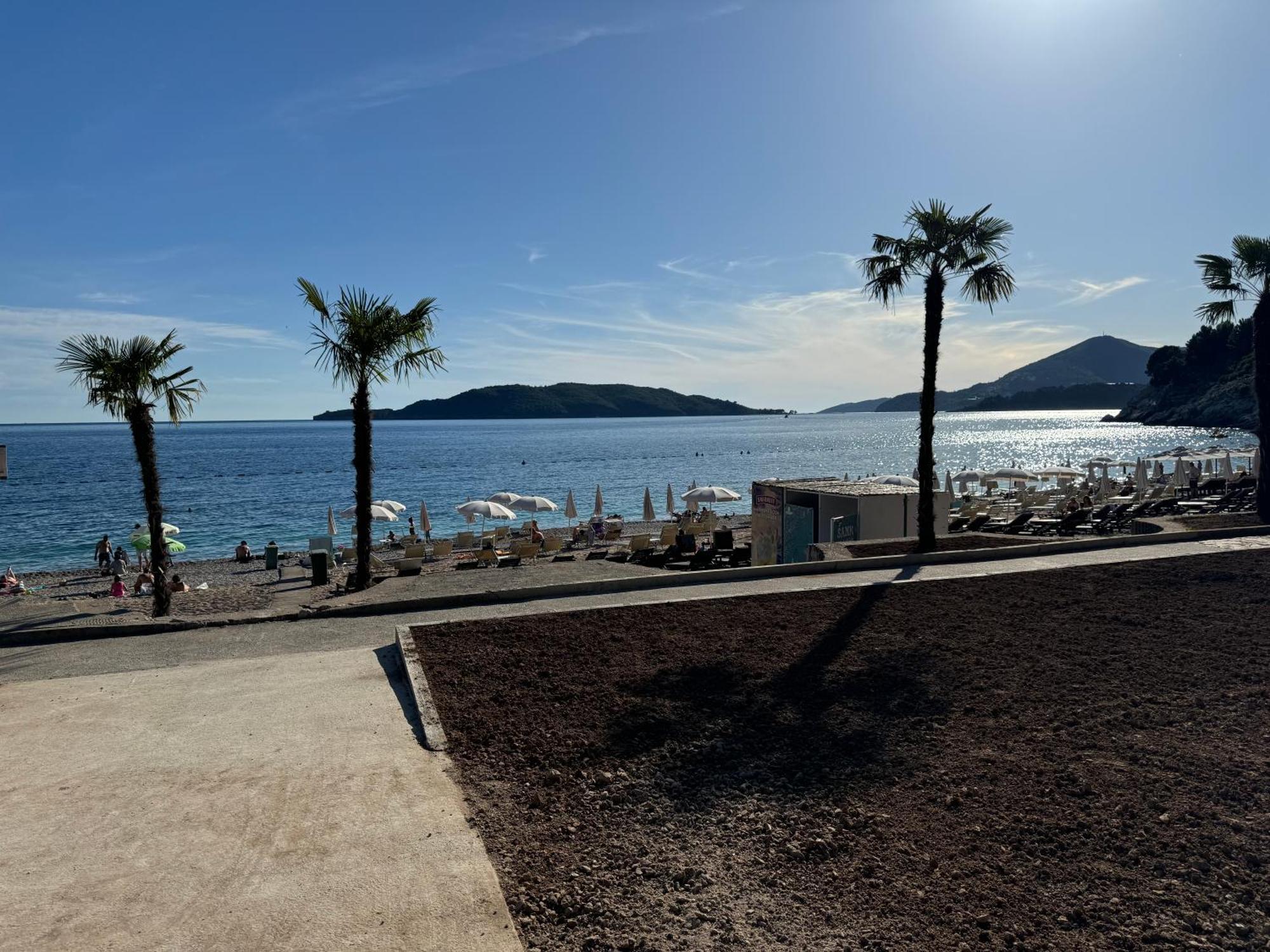 Petar Budva